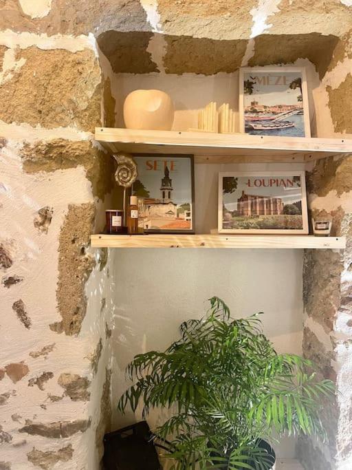 Apartamento Eden De Thau 1Ere Ligne Bouzigues Exterior foto